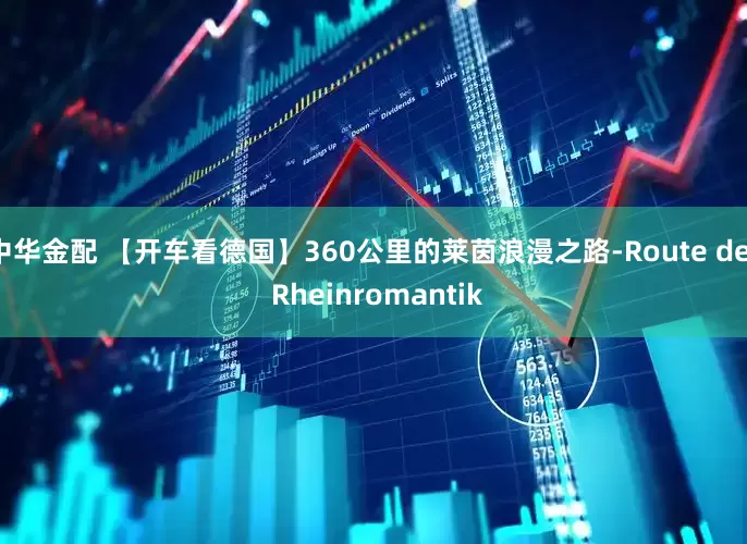 中华金配 【开车看德国】360公里的莱茵浪漫之路-Route der Rheinromantik
