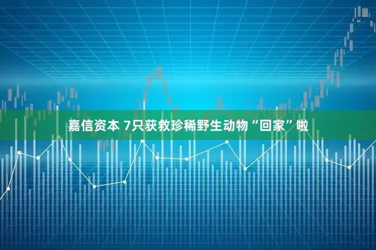 嘉信资本 7只获救珍稀野生动物“回家”啦