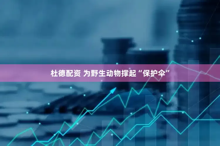 杜德配资 为野生动物撑起“保护伞”