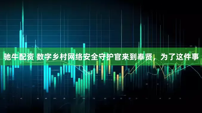 驰牛配资 数字乡村网络安全守护官来到奉贤，为了这件事