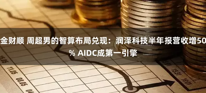 金财顺 周超男的智算布局兑现：润泽科技半年报营收增50% AIDC成第一引擎