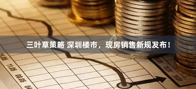 三叶草策略 深圳楼市，现房销售新规发布！